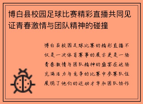 博白县校园足球比赛精彩直播共同见证青春激情与团队精神的碰撞